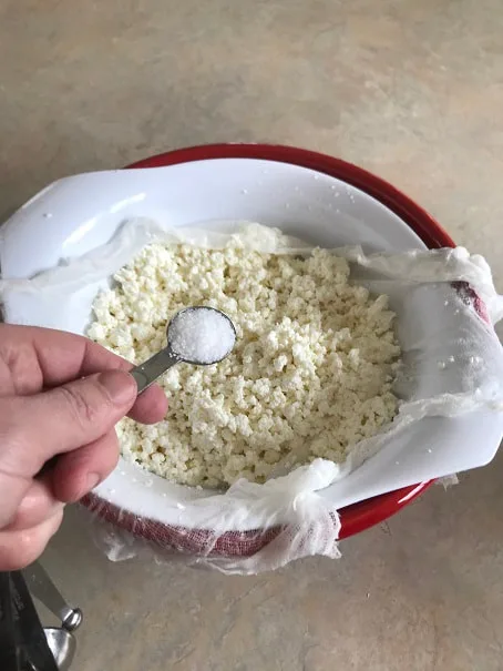 homemade cottage cheese, making cottage cheese